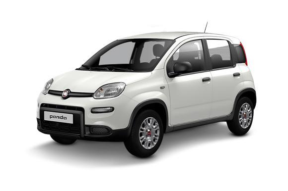 Fiat Panda or similar