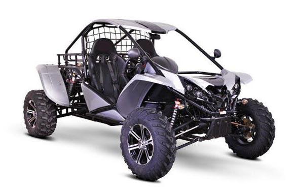 Buggy Renli by Joyner 500cc